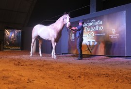 13º Vaquejada e Trabalho é um dos leilões de produção mais aguardados do Nordeste