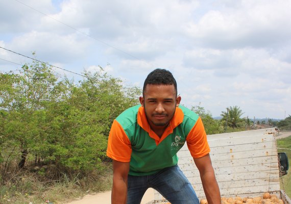 Coopaq retoma a atividade do coco no Litoral Norte