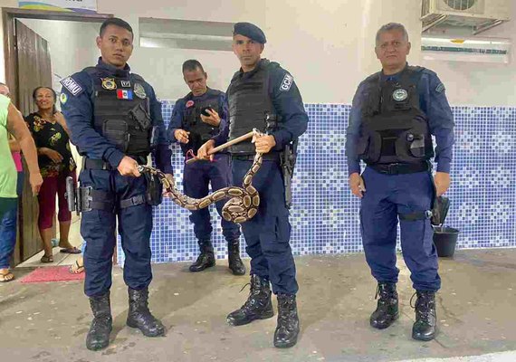 Cobra de 2 metros é encontrada dentro de escola no interior de Alagoas