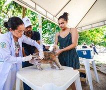 Vacinação de cães e gatos acontece neste fim de semana em alguns bairros de Maceió; confira