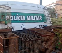 Polícia prende homem que caçava animais silvestres em Marechal Deodoro