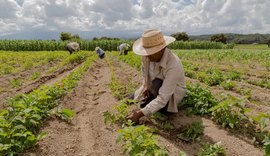 Agricultura digital na produção de alimentos saudáveis
