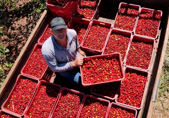 Governo Federal anuncia subsídio de R$ 78,2 bi para Agricultura Familiar em novo Plano Safra