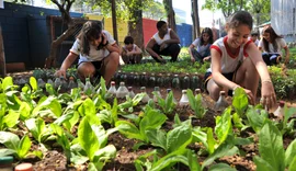 Ocepar fortalece cooperativas implementadas em colégios agrícolas