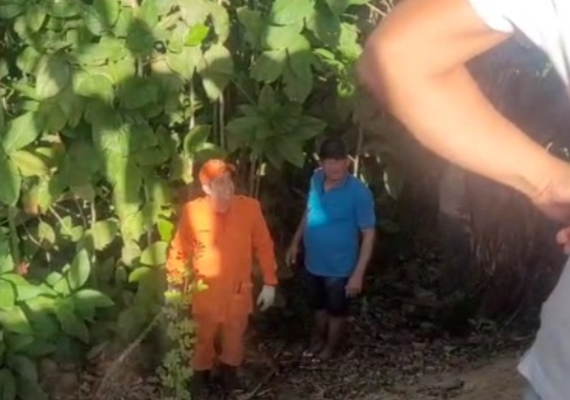 Corpo de mulher seminua é encontrado no Agreste de Alagoas