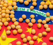 Brasil e China discutem inspeção da soja após queda nas negociações