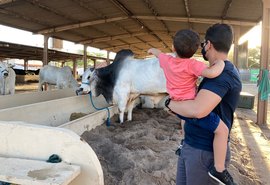 Parque da Pecuária já recebeu 10 mil visitantes na 71ª Expoagro Alagoas