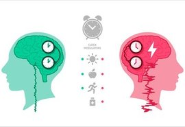 Pesquisa da Ufal estuda formas de controlar e tratar  crises epilépticas