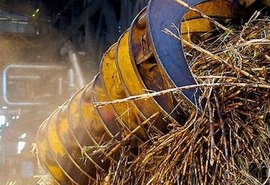 Produção de açúcar tem superávit superior de 200 mil toneladas