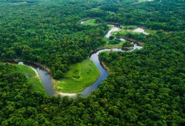 Cooperativismo apoia projeto da Lei Geral do Licenciamento Ambiental