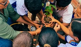 Dia da Árvore: Conasa chega a 1,3 mil mudas plantadas em oito cidades
