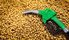 CNA pede aumento do biodiesel no diesel para segurar alta de preços