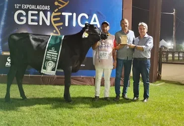 Expoalagoas Genética movimenta R$ 6 milhões e atrai elite da pecuária