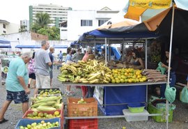 Cisternas e barracas para agricultores de Palmeira serão entregues nesta segunda