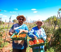 No Dia Internacional da Agricultura Familiar, trabalhadores compartilham emoção de produzir alimentos