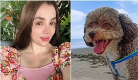 Advogada morre ao proteger cachorro durante terremoto na Colômbia