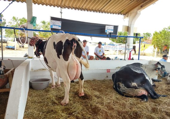 Retomada da Expo Bacia Leiteira é conquista para o setor