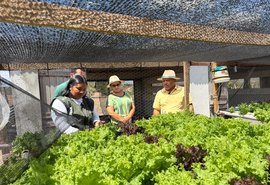 Cultivo de hortaliças se destaca em AL e estimula agricultura em pequenas propriedades
