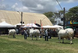 Expoagro 2019 faz pista de julgamento de alto nível