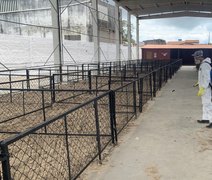 Parque da Pecuária, em Maceió, passa por desinfecção para receber a 75ª Expoagro