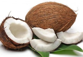 Coopaiba capacita novos agentes de desenvolvimento