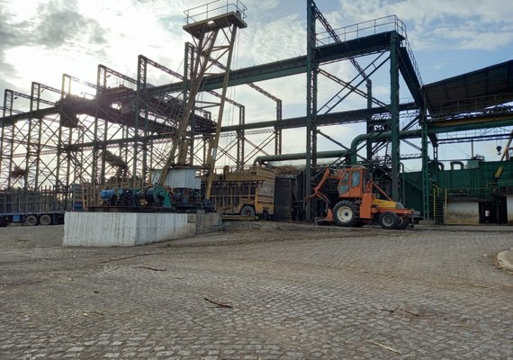 Cooperativa no Vale do Satuba bate recorde de produção na safra de cana-de-açúcar