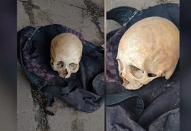 Crânio humano é encontrado dentro de mochila em parada de ônibus