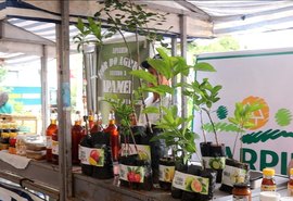 Carpil impulsiona diversificação produtiva com entrega de mudas em Alagoas
