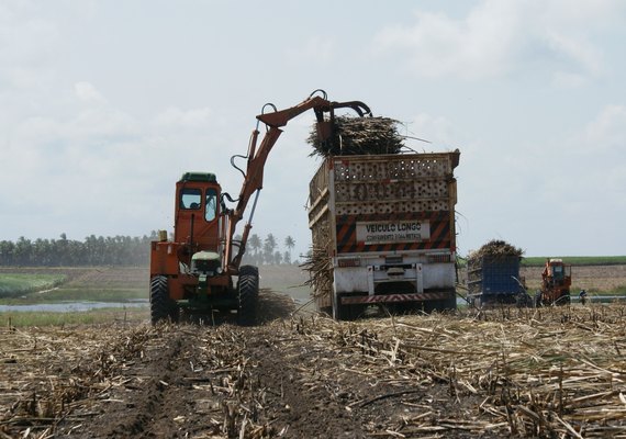 Moagem avança na safra 22/23 e ultrapassa 17 mi de toneladas de cana processadas