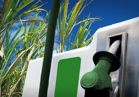 Sindaçúcar-AL destaca posição do Senado quanto a venda direta do etanol