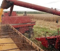 Clima e tensões geopolíticas influenciam mercados de soja, milho e trigo