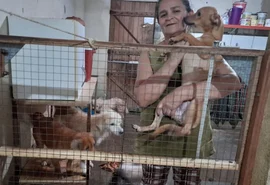 Protetora de animais fará aniversário, e pede rações como presente