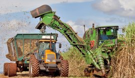 Asplana aposta em chuvas para alcançar meta de 18 milhões de toneladas de cana processadas