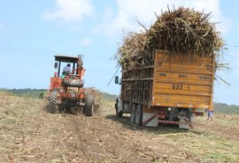 Usinas já produziram mais de 126 mil toneladas de açúcar na safra 18/19