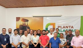 Alagoas possui mais de 20 mil estabelecimentos agropecuários produzindo mandioca