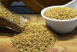 Brasil vira 3º maior exportador de gergelim à China em 2025