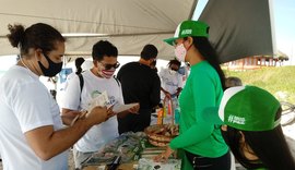 IMA disponibiliza serviços de educação ambiental para a população