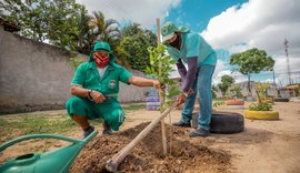 Maceió: Secretaria de Desenvolvimento Sustentável planta 1.300 mudas de árvore em 2021