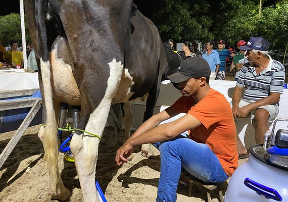 Campeões do Super Torneio Leiteiro apresentam produção acima de 100 quilos