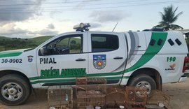 Polícia Ambiental realiza diversas apreensões na Região Norte de Alagoas