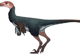 Nova espécie de dinossauro emplumado com crânio espesso é descoberta no México