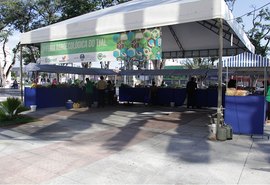 Feira Agroecológica retoma atividades nesta quarta (4) no TJ