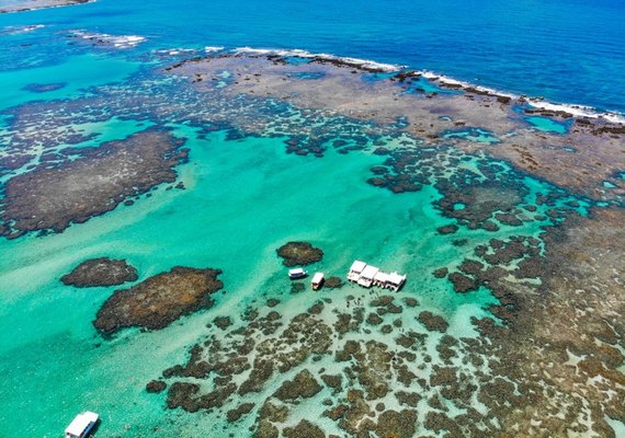Turismo de natureza cresce no Brasil e fortalece destinos em Alagoas