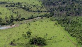 Prazo de entrega da declaração do ITR acaba hoje