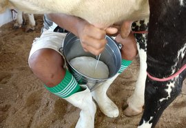 Torneio leiteiro de Pilões terá palestras técnicas