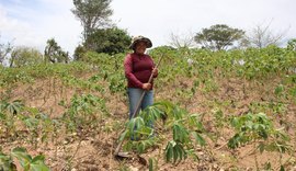 Agricultura anuncia prorrogação de pagamento de boletos do Garantia-Safra 23/24