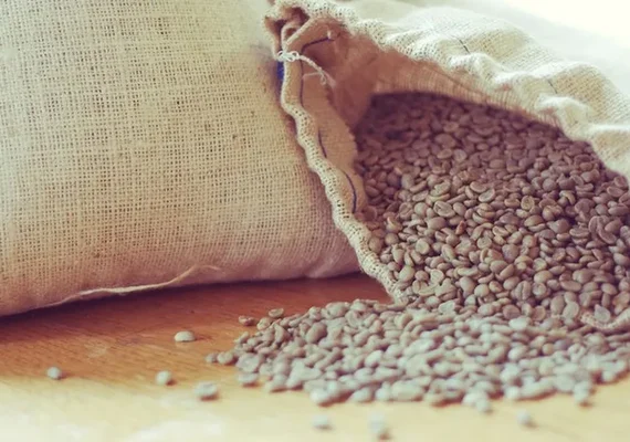 Exportações de café batem novo recorde em agosto