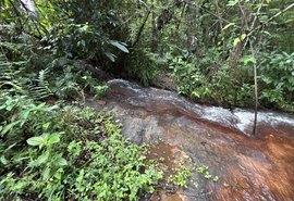 Rota do Cacau fortalece ecoturismo em Matriz de Camaragibe