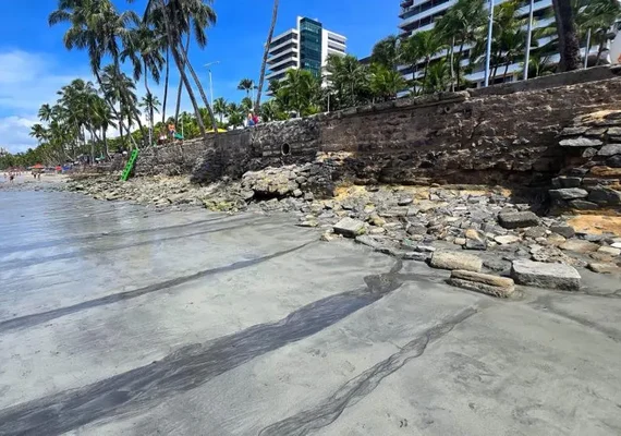 Línguas sujas de menor porte invadem a praia de Ponta Verde