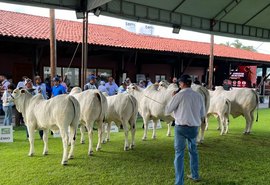 ACA confirma atrações para a Expoalagoas Genética 2026